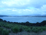 0010 Whitianga township_thumb.gif
